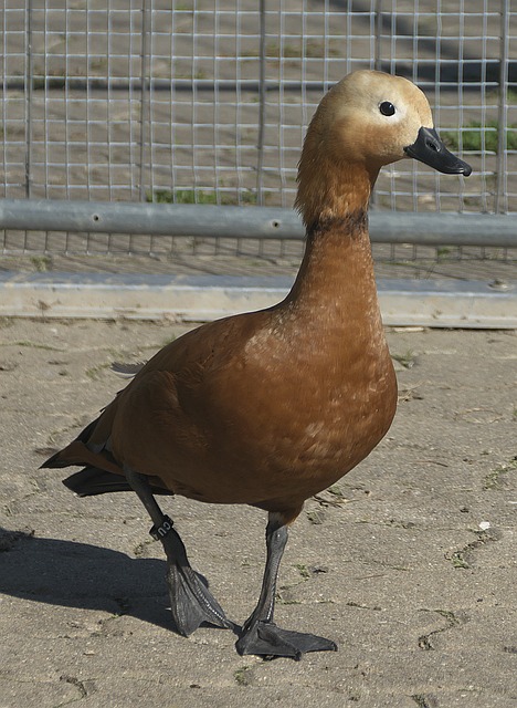 疑是他迈向