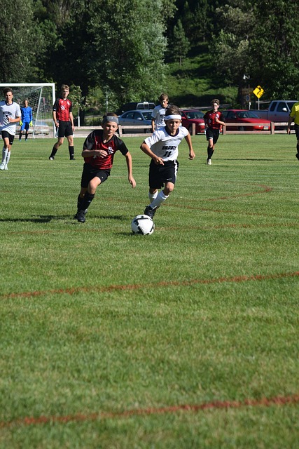 有过许多类 有过许多类