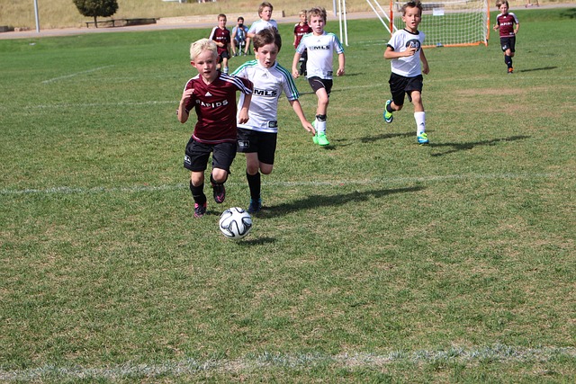 此次告別賽 此次告別賽