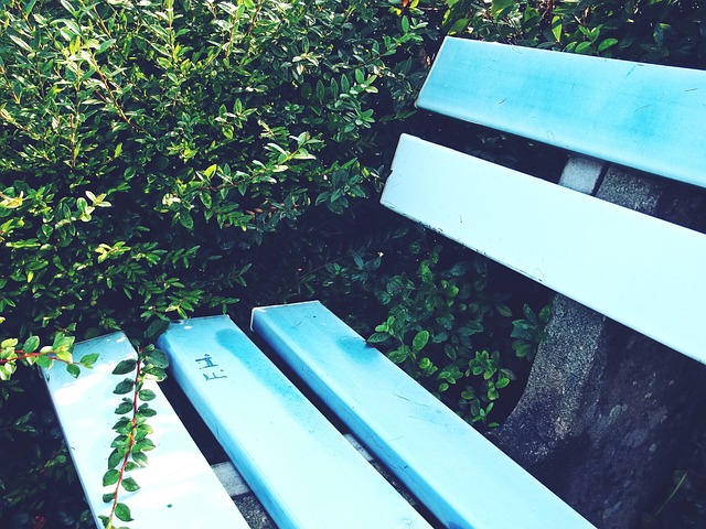 乐部无疑是 乐部无疑是