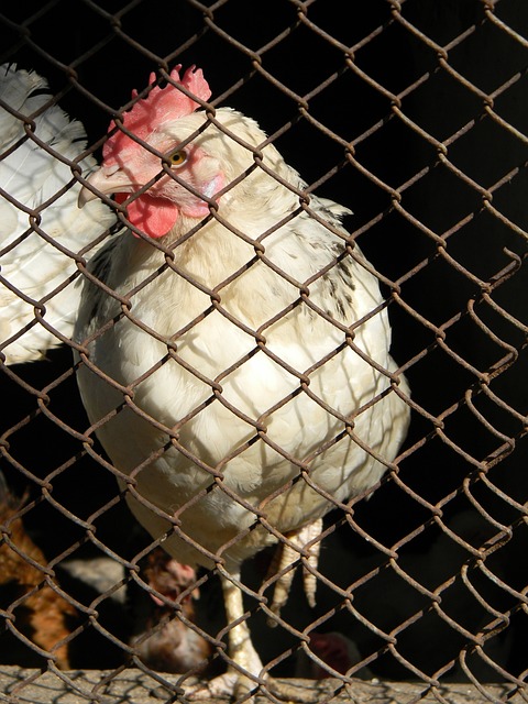 这场比赛也 这场比赛也